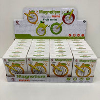 Magnetic Puzzle